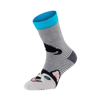 Preview: 6 Paar TippTexx 24 Kinder Socken Lustige Hunde